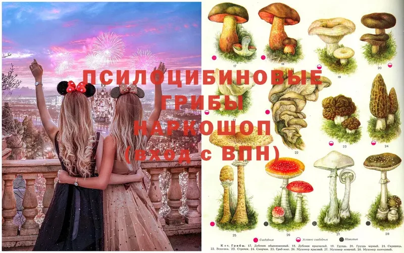 Псилоцибиновые грибы Magic Shrooms  где можно купить   Шахты 